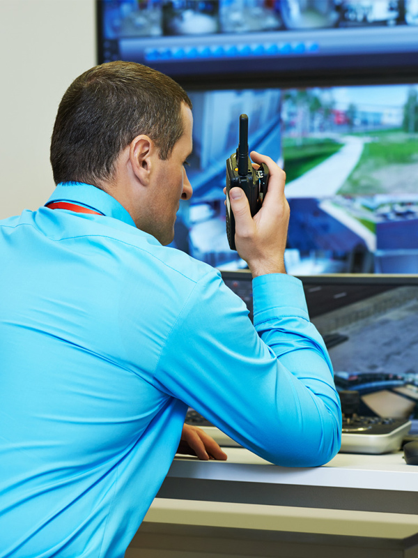 disponibilité h24 7j/7, service télésurveillance